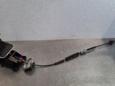 Selector caja de cambios