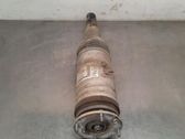 Front shock absorber/damper
