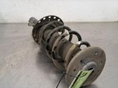Front shock absorber/damper