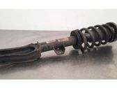 Front shock absorber/damper