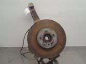 Front wheel hub spindle knuckle