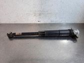 Stoßdämpfer hinten