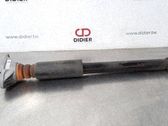 Stoßdämpfer hinten