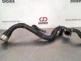 Manguera/tubo del intercooler