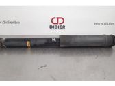 Stoßdämpfer hinten