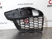 Grille antibrouillard avant