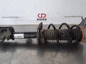 Stoßdämpfer hinten