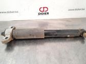 Stoßdämpfer hinten