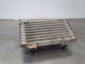 Oil filter mounting bracket