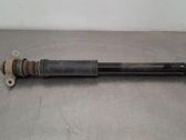 Stoßdämpfer hinten