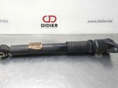 Stoßdämpfer hinten