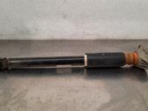 Stoßdämpfer hinten