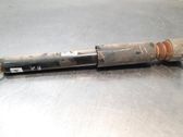 Stoßdämpfer hinten