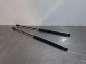 Tailgate/trunk strut/damper