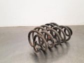 Rear coil spring
