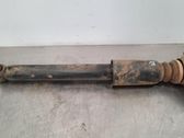 Stoßdämpfer hinten