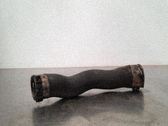 Manguera/tubo del intercooler
