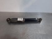 Rear shock absorber/damper