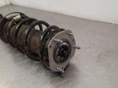 Front shock absorber/damper