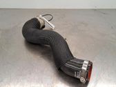 Manguera/tubo del intercooler