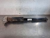 Stoßdämpfer hinten
