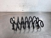 Muelle espiral trasero
