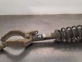 Front shock absorber/damper