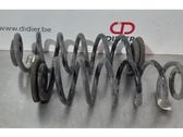 Rear coil spring