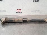 Rear shock absorber/damper