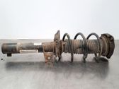 Front shock absorber/damper