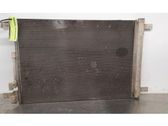 Klimakühler