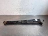 Stoßdämpfer hinten