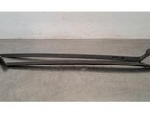Windshield trim