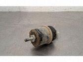 Support de moteur, coussinet