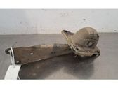 Querlenker hinten