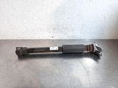 Stoßdämpfer hinten