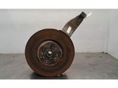 Front wheel hub spindle knuckle