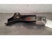 Bisagras del capó/tapa del motor