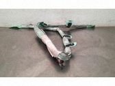 Airbag del techo