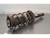 Front shock absorber/damper