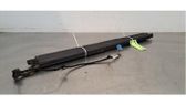 Tailgate/trunk strut/damper
