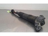 Rear shock absorber/damper