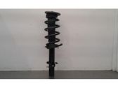 Front shock absorber/damper