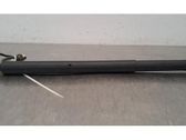 Tailgate strut