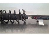 Front shock absorber/damper