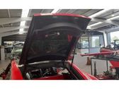 Tailgate/trunk/boot lid