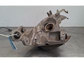 Rear wheel hub spindle/knuckle
