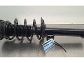 Front shock absorber/damper