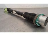 Rear shock absorber/damper