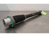 Rear shock absorber/damper